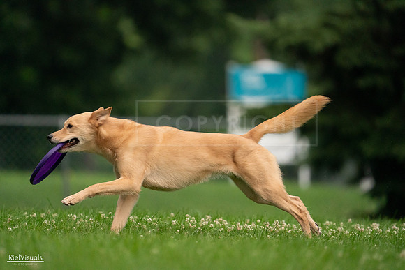 RielVisuals_20240722_191631_SJR00411