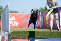 SJR06721
