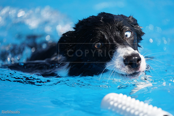 SJR00624