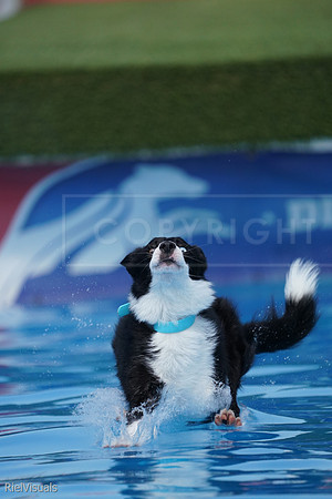 SJR02301