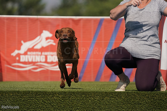 SJR01431