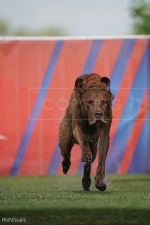 SJR01487