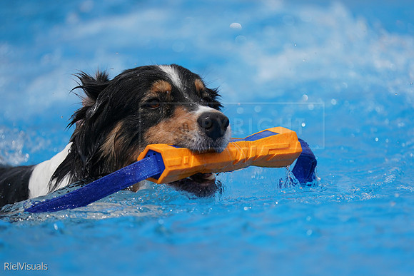 SJR04097
