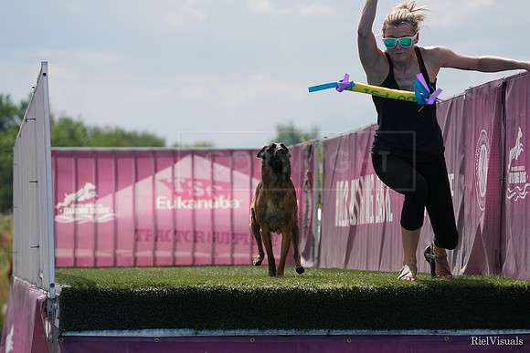 SJR05636