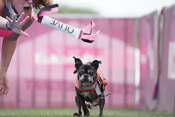 SJR05958