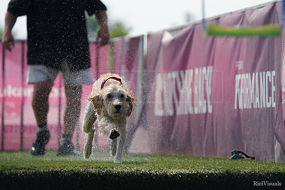SJR05670