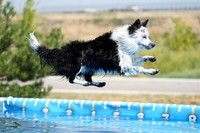 SJR08000