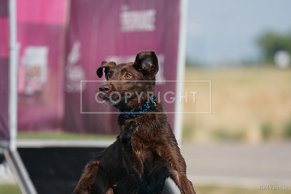 SJR08792