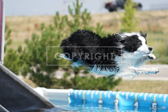SJR09679