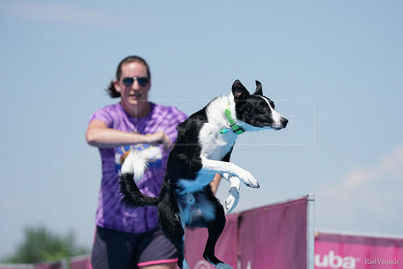 SJR09399