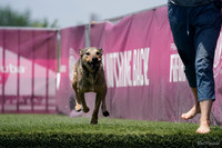 SJR01166