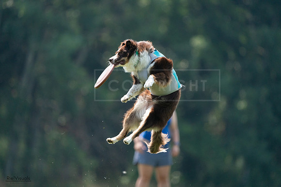 RielVisuals_20240727_120516_SJR04726