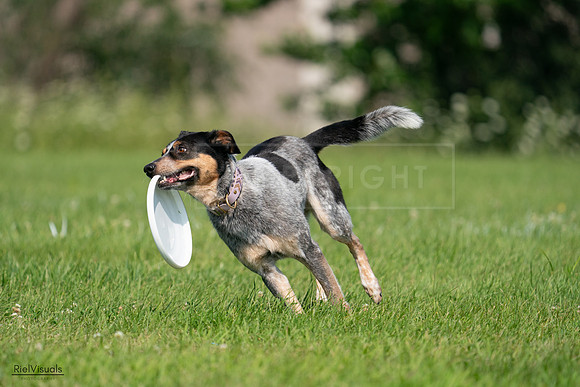 RielVisuals_20240728_103309_SJR08514