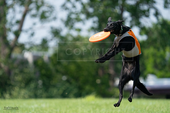 RielVisuals_20240727_134423_SJR08178