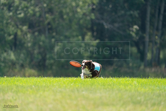 RielVisuals_20240727_120502_SJR04710