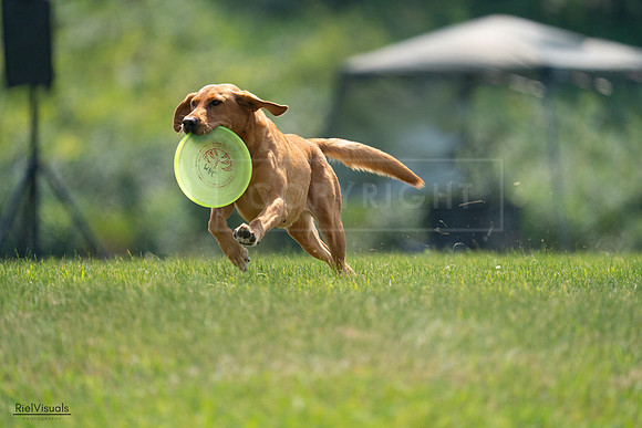 RielVisuals_20240727_122424_SJR05496