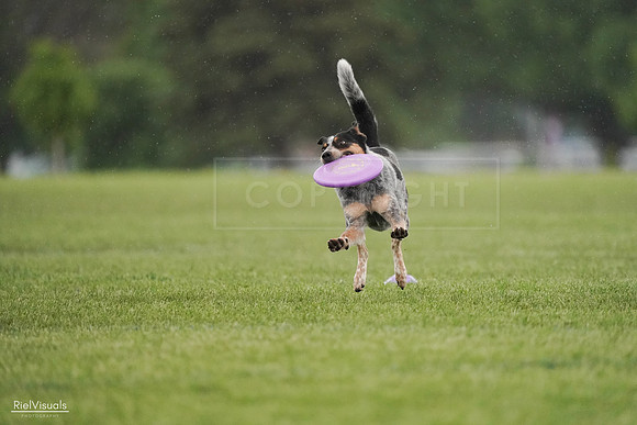 RielVisuals_20240526_094747_SJR01040