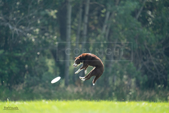 RielVisuals_20240727_122940_SJR05650