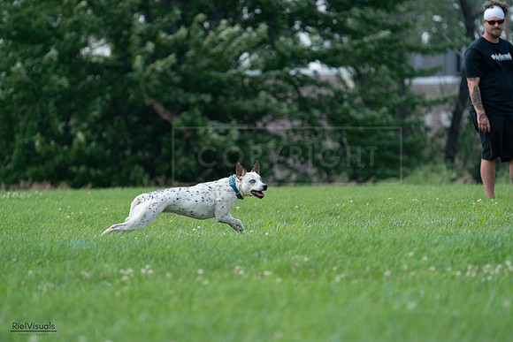 RielVisuals_20240727_145116_SJR01378