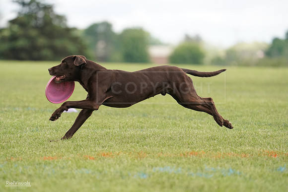 RielVisuals_20240527_140524_SJR01419