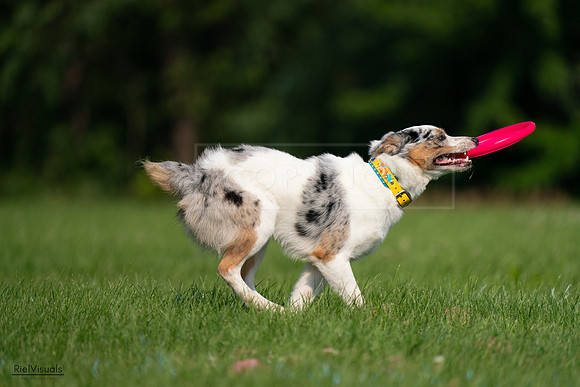 RielVisuals_20240727_100251_SJR08355