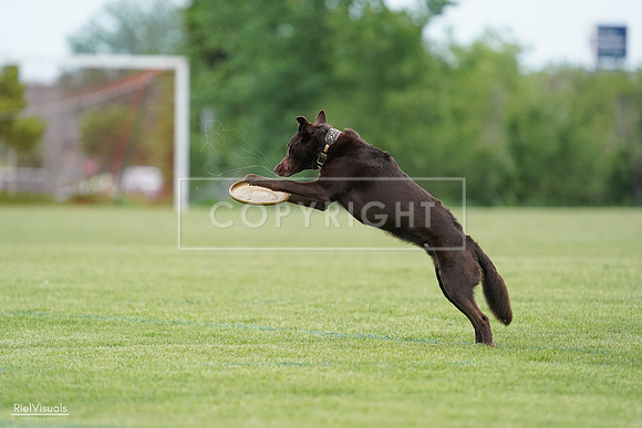 RielVisuals_20240525_162130_SJR04253