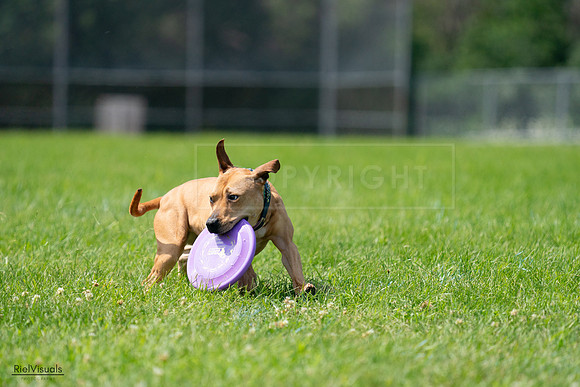 RielVisuals_20240728_114457_SJR01816