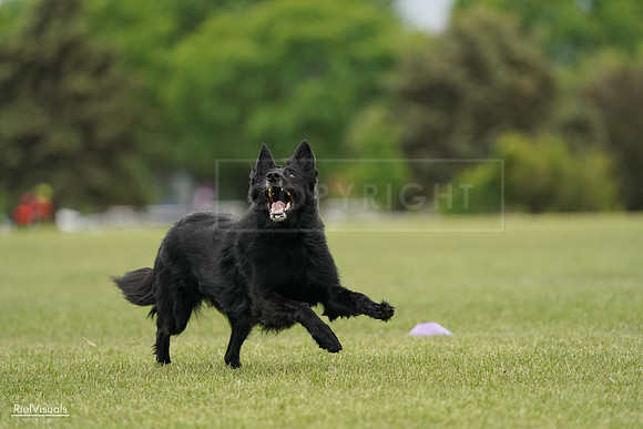 RielVisuals_20240526_133849_SJR08491