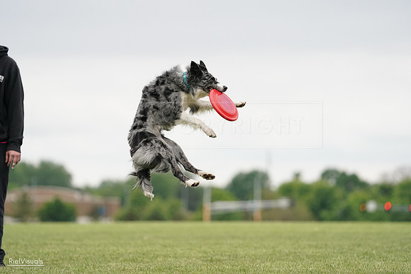 RielVisuals_20240526_133236_SJR08168