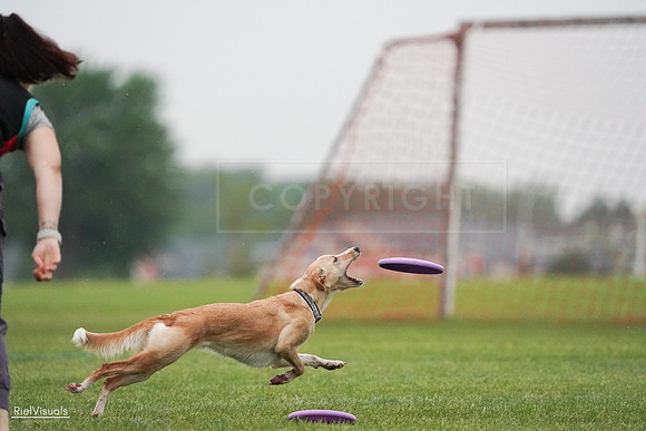 RielVisuals_20240527_093851_SJR08198