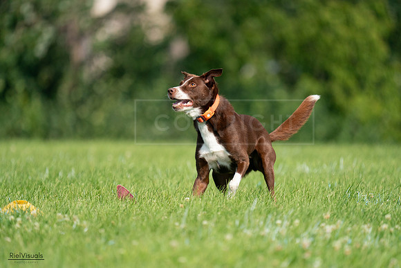 RielVisuals_20240727_100710_SJR08593