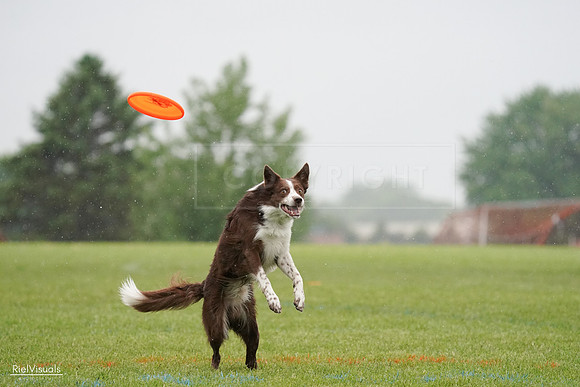 RielVisuals_20240527_104358_SJR01397