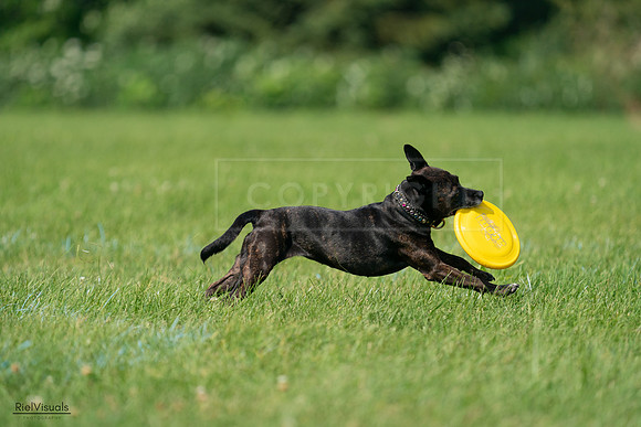 RielVisuals_20240728_103803_SJR08694