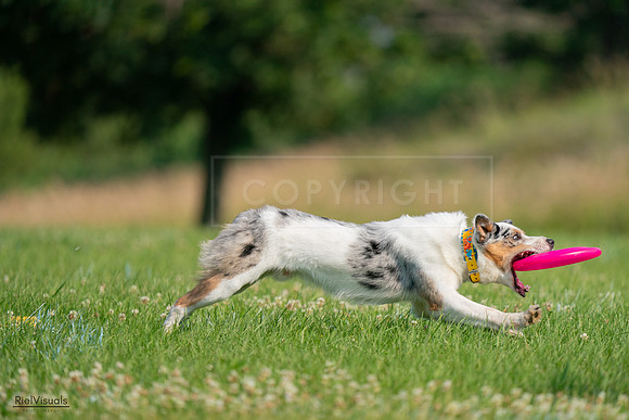 RielVisuals_20240727_092213_SJR06024