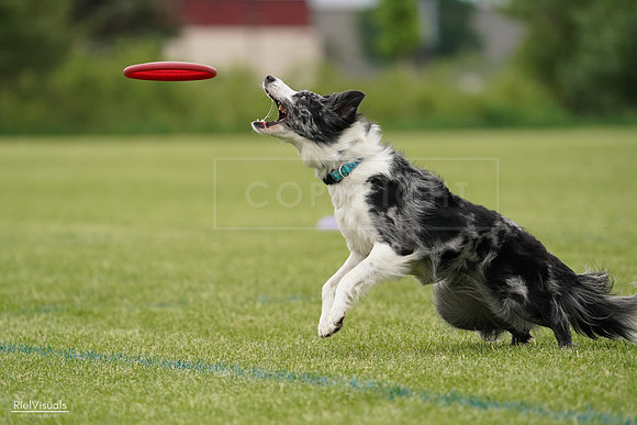 RielVisuals_20240526_133145_SJR08082