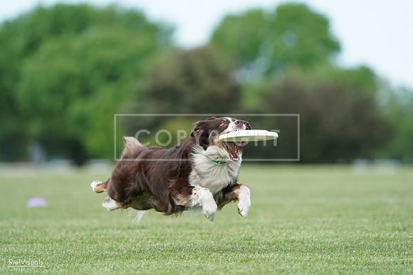 RielVisuals_20240525_090327_SJR09470