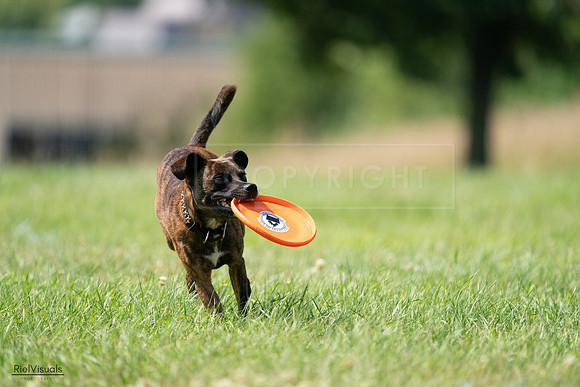 RielVisuals_20240728_151745_SJR00518