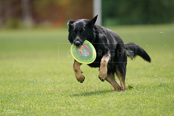 RielVisuals_20240527_141249_SJR01994