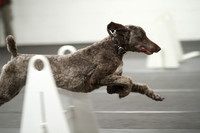 Happy Hurdlers - Jump