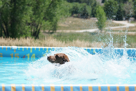 DSC03149