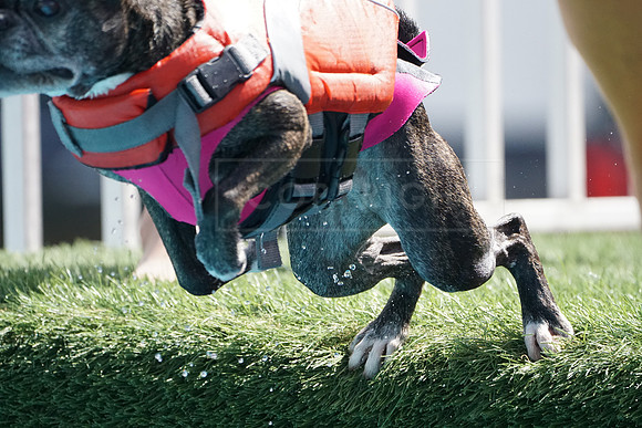 DSC00279