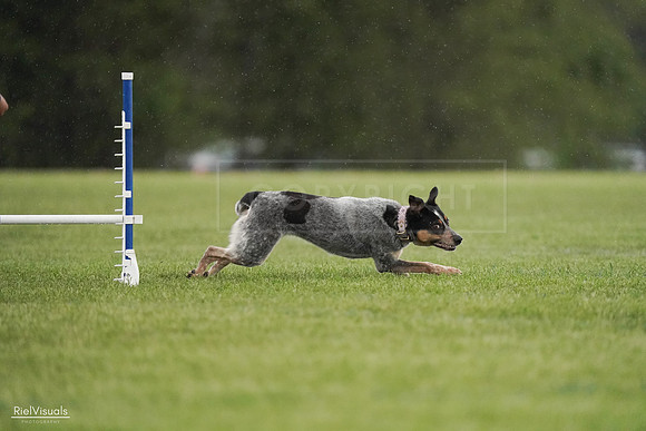 RielVisuals_20240526_094746_SJR01038