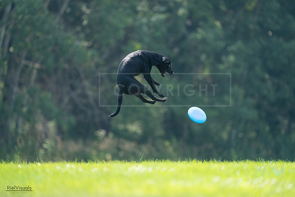 RielVisuals_20240727_122720_SJR05578