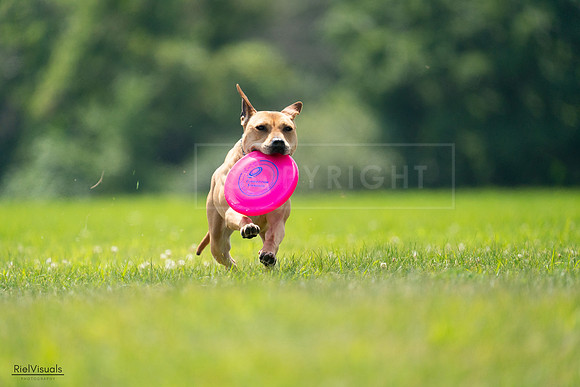RielVisuals_20240727_131653_SJR07465