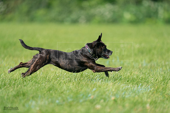 RielVisuals_20240728_103836_SJR08751