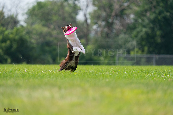 RielVisuals_20240727_115619_SJR04326