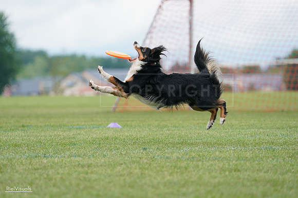 RielVisuals_20240527_142348_SJR02561