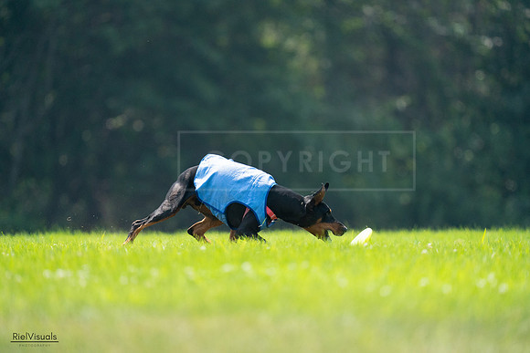RielVisuals_20240727_122630_SJR05566