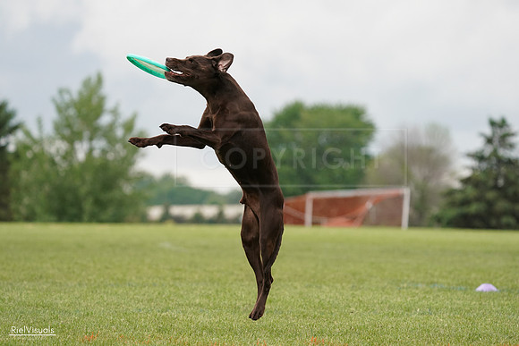 RielVisuals_20240527_132601_SJR09774