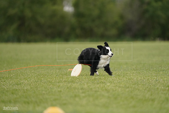 RielVisuals_20240527_143024_SJR02962